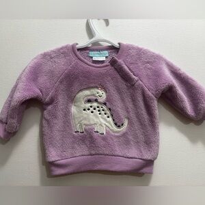 Adorable Lavender Dinosaur Sweatshirt for Kids